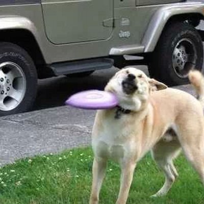 Profile Picture of Aaron Broom (@AaronBroom) on Twitter