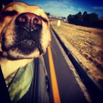 Profile Picture of Gillian Hansen (@gillibery) on Instagram