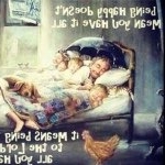 Profile Picture of Steven Brooks (@kfc_allday) on Instagram