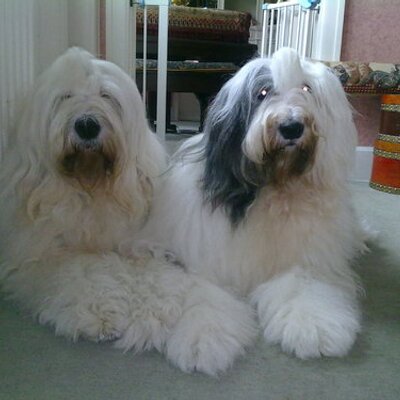 Profile Picture of Brian Brook-Jackson (@BrianB_J) on Twitter