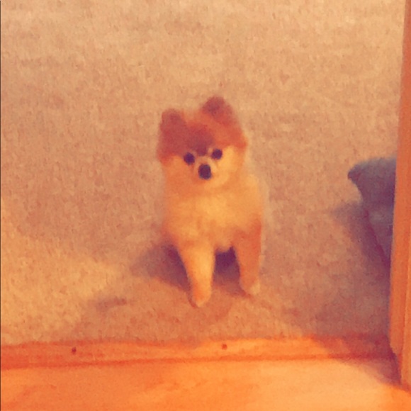 Profile Picture of Marlene Madrigal (@martorres755) on Poshmark