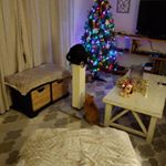 Profile Picture of Mark Struve (@struvemark) on Instagram