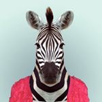 Profile Picture of Ariel Chapaval (@mr.carajo) on Instagram