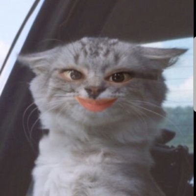Profile Picture of Kendrick (@Aaron72971405) on Twitter