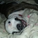 Profile Picture of Bryan Pressley (@bryan.pressley.712) on Instagram