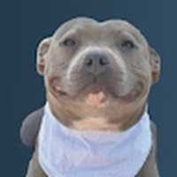 Profile Picture of Lillian Lofton (@lillian-lofton-1) on Quora