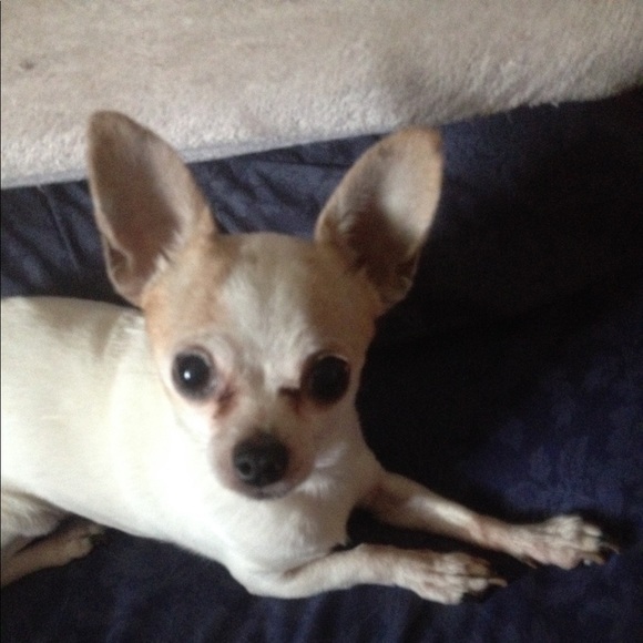 Profile Picture of Barbara Blarek (@partiebarbie) on Poshmark