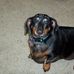 Profile Picture of Daniel Pepin (@daniel.pepin.735) on Facebook