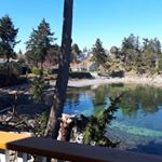 Profile Picture of Anne Marie Hughes (@awebbhughes24) on Instagram