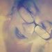 Profile Picture of Tammy Long (@granola_graham) on Pinterest