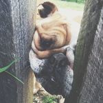 Profile Picture of Lola Randolph (@lola_randolph) on Instagram