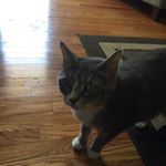 Profile Picture of Darby (@messingwithdustin) on Instagram