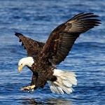 Profile Picture of Jerry Clagg (@jerry.clagg68) on Instagram