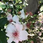 Profile Picture of Barbara Stroup (@barbarastroup6071) on Instagram