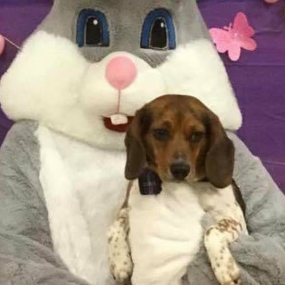 Andrew Tombari - Poshmark Profile Picture of Andrew Tombari (@andrew_tombari) on Poshmark