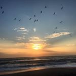 Profile Picture of Cecibel Ruiz Chancay (@cecibelruiz) on Instagram