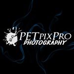 Profile Picture of PetpixPro - Anamaria Rakamarić (@petpixpro.photography) on Instagram