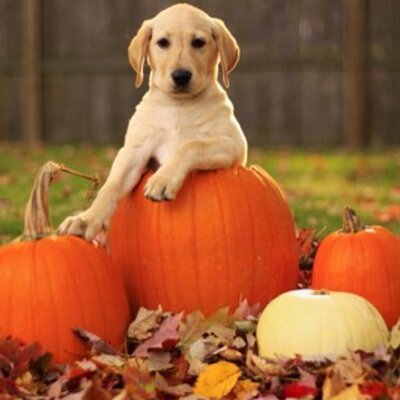 Profile Picture of Marc Van Der Tol (@marcvandertol) on Twitter