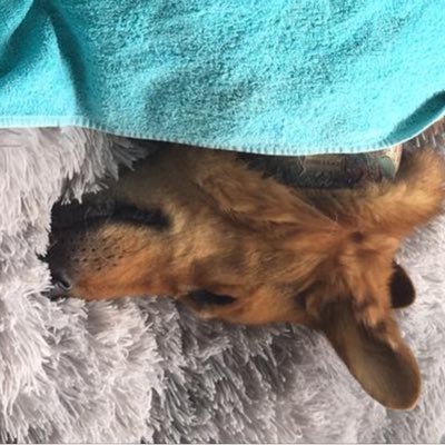 Profile Picture of John Keogh (@johnkeogh2002) on Twitter