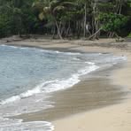 Profile Picture of Danielle Perrot (@danielle.perrot.50) on Facebook