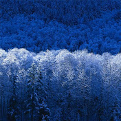 Profile Picture of Jesus M. Fierro G. (@jesusm.fierrog.5508) on Youtube