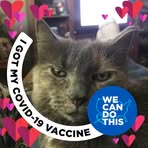 Profile Picture of Keith Kotecki (@Spitfirenip) on Facebook