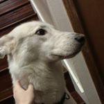 Profile Picture of Mika Walker (@yuh_girl_mika) on Instagram