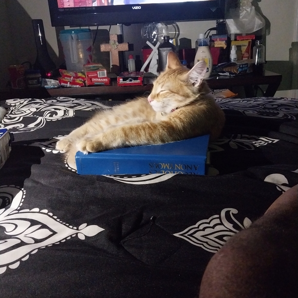 Profile Picture of Curtis Hunter (@curtishunter116) on Poshmark