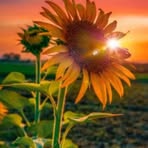 Profile Picture of Carol Abernathy (@carol.abernathy.2025) on Facebook