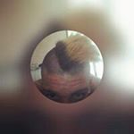 Profile Picture of Nicholas Gorio (@nicholasgorio) on Instagram