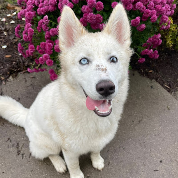 Profile Picture of Aubrey Senkowski (@senkoaub000) on Poshmark