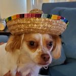 Profile Picture of Danny Frias (@dannyfrias_) on Instagram