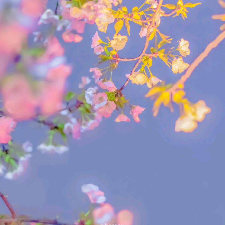 Profile Picture of ClayCollector (@user1600313719606) on Tiktok