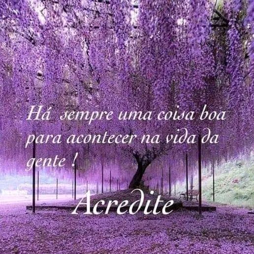 Profile Picture of Paula Cappello (@paulacappello743) on Tiktok