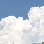 Profile Picture of toree 토리 (@toree_kim) on Instagram