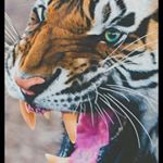 Profile Picture of Juan Collado. (@juancollado18) on Instagram