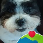 Profile Picture of Alexander Gurevich (@alexander.gurevich.399) on Facebook