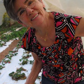 Elisabeth Brouwers - Facebook Profile Picture of Elisabeth Brouwers (@elisabeth.brouwers.9) on Facebook