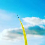 Profile Picture of Brăilean Damarus (@braileanda) on Instagram