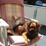 Profile Picture of Sylvia Hauck (@haucksylvia) on Instagram