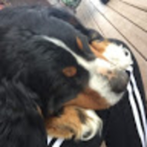 Profile Picture of Hayden Werkman (@haydenhopew) on Poshmark