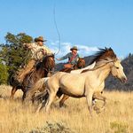 Profile Picture of Claire Porter (@claireporterphotography) on Instagram