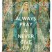 Profile Picture of Amanda Kelly (@cellaz) on Pinterest