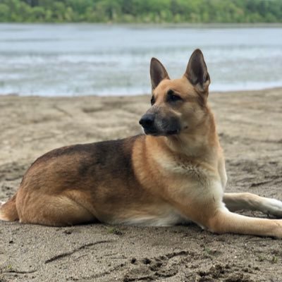 Profile Picture of Ryan Benoit (@Ryan_B93) on Twitter