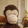 Profile Picture of 1234 (@@jeroldmonkey) on Tiktok