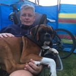 Profile Picture of Steve Leader (@steve.leader2) on Instagram