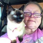 Profile Picture of Sandy Hefner (@starry731) on Instagram