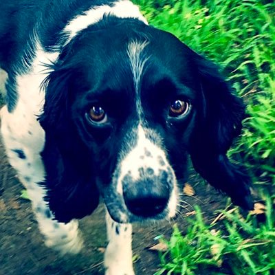 Profile Picture of Bob And Lou (@joc303) on Twitter