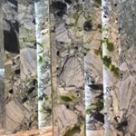 Profile Picture of Cindy Xie (@besttochinamarbleslab) on Instagram