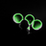 Profile Picture of Kyl Moore (@kyle_moore_10) on Flickr